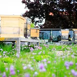 科赫尔利维塔酒店 4*