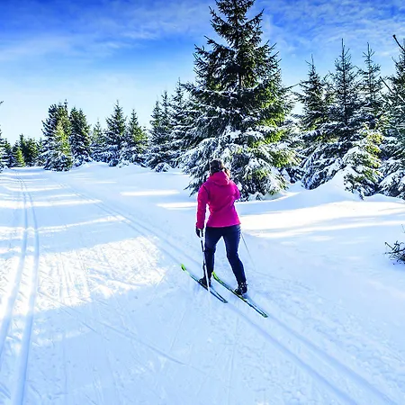 Revita Kocher מלון