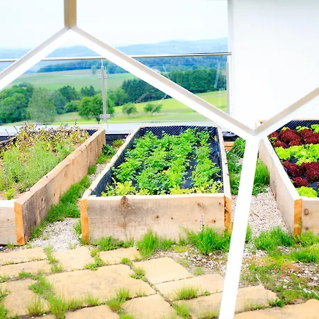 מלון Revita Kocher סנט אגתה