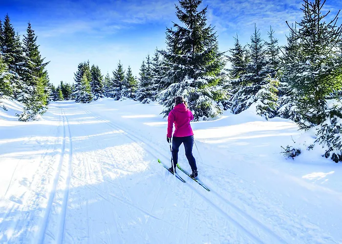 Revita Kocher فندق