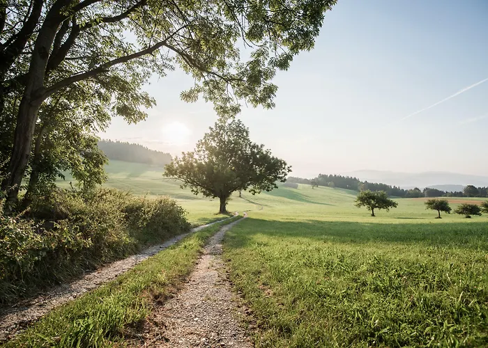 Hotel Revita Kocher 4*