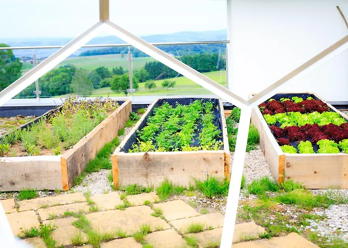 Hotel Revita Kocher Sankt Agatha (Grieskirchen)